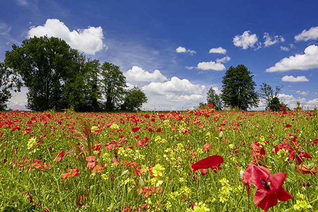 NATUR
