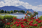 Fotokarten - Kunskarten