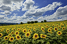 Schweiz